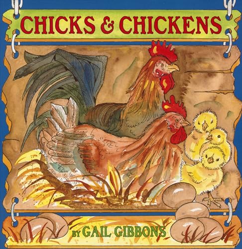 Chicks & Chickens Chicks & Chickens