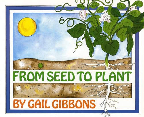 From Seed to Plant From Seed to Plant