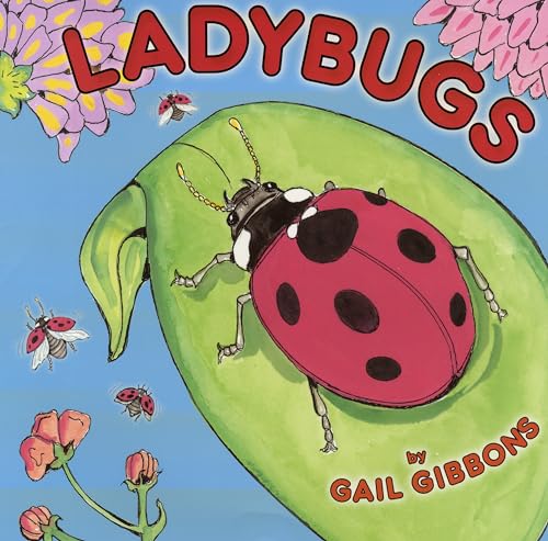 Ladybugs Ladybugs