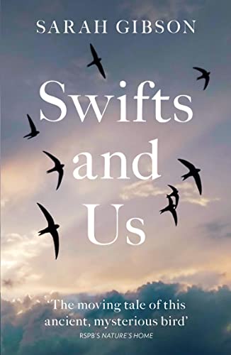 Swifts and Us: The Life of the Bird that Sleeps in the Sky