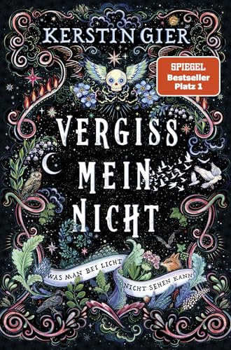 Vergissmeinnicht - Was man bei Licht nicht sehen kann: Das fantastische Geschenk zu Weihnachten von Fischer