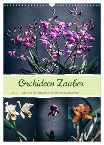 Orchideen Zauber (Wandkalender 2024 DIN A3 hoch), CALVENDO Monatskalender