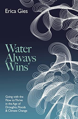 Water Always Wins: Thriving in an Age of Drought and Deluge von Head of Zeus