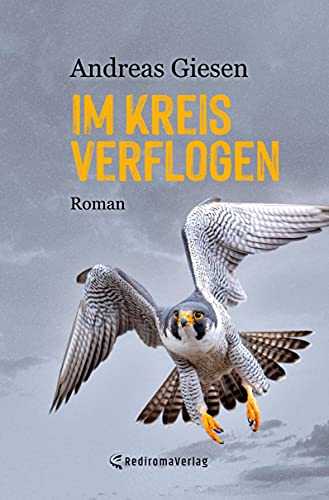 Im Kreis verflogen: Roman
