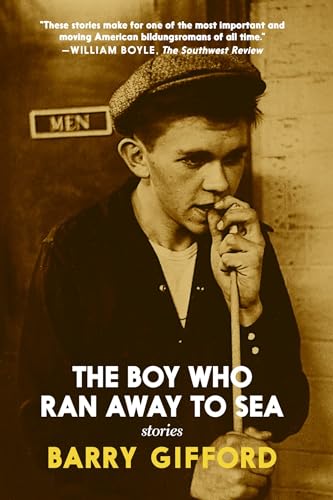 The Boy Who Ran Away to Sea von Seven Stories Press