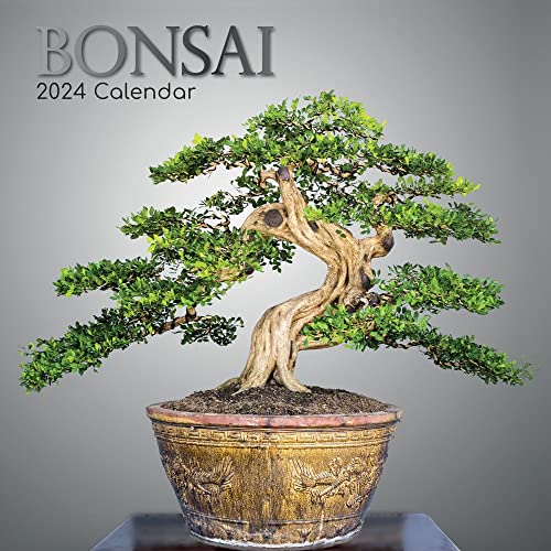 Bonsai 2024 – 16-Monatskalender: Original The Gifted Stationery Co. Ltd [Mehrsprachig] [Kalender] (Wall-Kalender) von Brown Trout-Auslieferer Flechsig