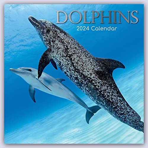 Dolphins – Delfine – Delphine 2024 – 16-Monatskalender: Original The Gifted Stationery Co. Ltd [Mehrsprachig] [Kalender] (Wall-Kalender) von Brown Trout-Auslieferer Flechsig
