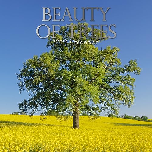 Beauty of Trees – Die Schönheit der Bäume 2024 – 16-Monatskalender: Original Gifted Stationery-Kalender [Mehrsprachig] [Kalender] (Wall-Kalender) von Brown Trout-Auslieferer Flechsig