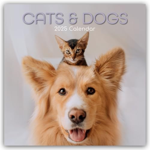 Cats and Dogs – Katzen und Hunde 2025 – 16-Monatskalender: Original Gifted Stationery-Kalender [Mehrsprachig] [Kalender] (Wall-Kalender)