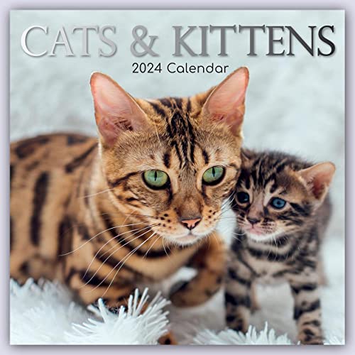 Cats & Kittens – Katzen & Kätzchen 2024 – 16-Monatskalender: Original Gifted Stationery-Kalender [Mehrsprachig] [Kalender] (Wall-Kalender) von Brown Trout-Auslieferer Flechsig