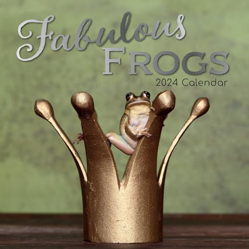 Fabulous Frogs – Fabelhafte Frösche 2024 – 16-Monatskalender: Original Gifted Stationery-Kalender [Mehrsprachig] [Kalender] (Wall-Kalender) von Brown Trout-Auslieferer Flechsig