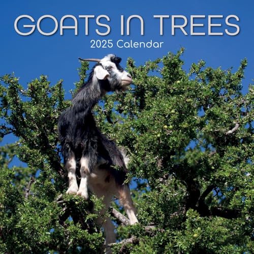 Goats in Trees – Ziegen auf Bäumen 2025 – 16-Monatskalender: Original Gifted Stationery-Kalender [Mehrsprachig] [Kalender] (Wall-Kalender)