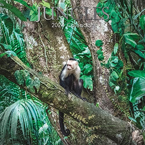 Jungles – Dschungel 2024 – 16-Monatskalender: Original Gifted Stationery-Kalender [Mehrsprachig] [Kalender] (Wall-Kalender) von The Gifted Stationery