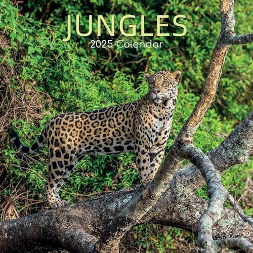 Jungles – Dschungel 2025 – 16-Monatskalender: Original Gifted Stationery-Kalender [Mehrsprachig] [Kalender] (Wall-Kalender)