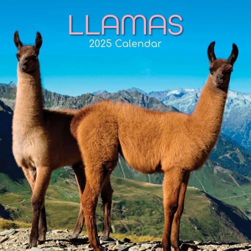 Llamas – Lamas 2025 – 16-Monatskalender: Original Gifted Stationery-Kalender [Mehrsprachig] [Kalender] (Wall-Kalender)