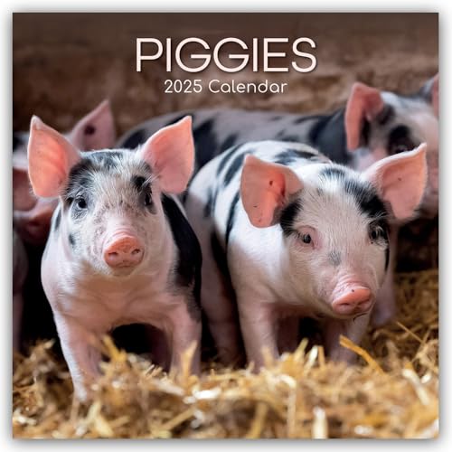 Piggies – Ferkel Schweine 2025 – 16-Monatskalender: Original Gifted Stationery-Kalender [Mehrsprachig] [Kalender] (Wall-Kalender)