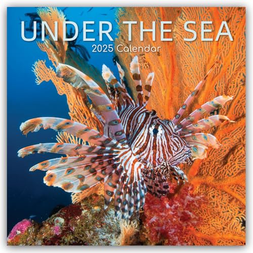 Under the Sea – Tropische Fische 2025 – 16-Monatskalender: Original Gifted Stationery-Kalender [Mehrsprachig] [Kalender] (Wall-Kalender)