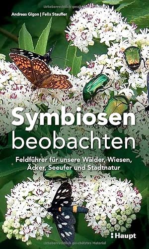 Symbiosen beobachten: Feldführer für unsere Wälder, Wiesen, Äcker, Seeufer und Stadtnatur von Haupt Verlag