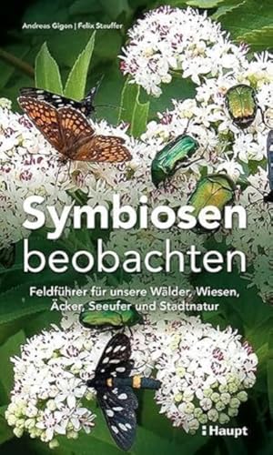 Symbiosen beobachten: Feldführer für unsere Wälder, Wiesen, Äcker, Seeufer und Stadtnatur