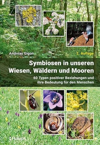 Symbiosen in unseren Wiesen, Wäldern und Mooren: 60 Typen positiver Beziehungen und ihre Bedeutung für den Menschen von Haupt Verlag AG