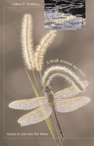 A Walk around the Pond: Insects in and over the Water von Harvard University Press