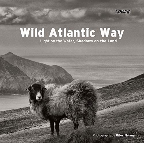 Wild Atlantic Way: Light on the Water, Shadows on the Land von O'Brien Press