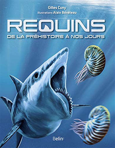 Requins - De la préhistoire à nos jours