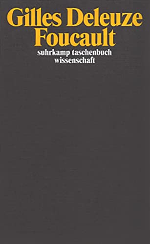 Foucault (suhrkamp taschenbuch wissenschaft)