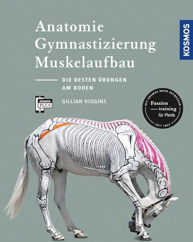 Anatomie, Gymnastizierung, Muskelaufbau: Die besten Übungen für Pferde am Boden von Kosmos