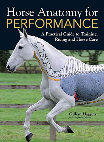 Horse Anatomy for Performance von David & Charles