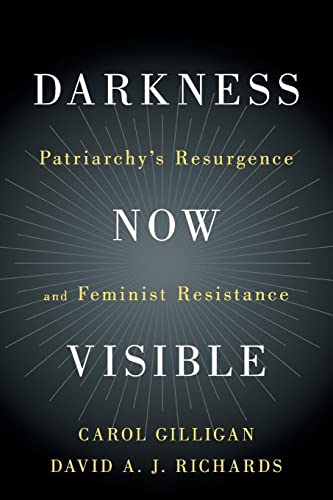 Darkness Now Visible: Patriarchy's Resurgence and Feminist Resistance von Cambridge University Press