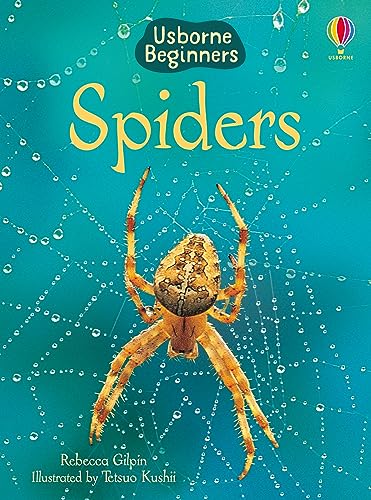 Spiders (Usborne Beginners) von Usborne