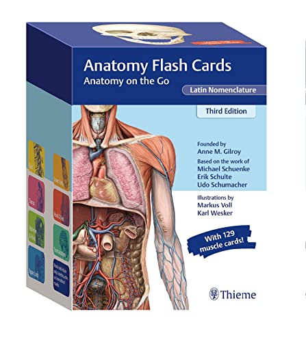 Anatomy Flash Cards, Latin Nomenclature von Thieme, Stuttgart