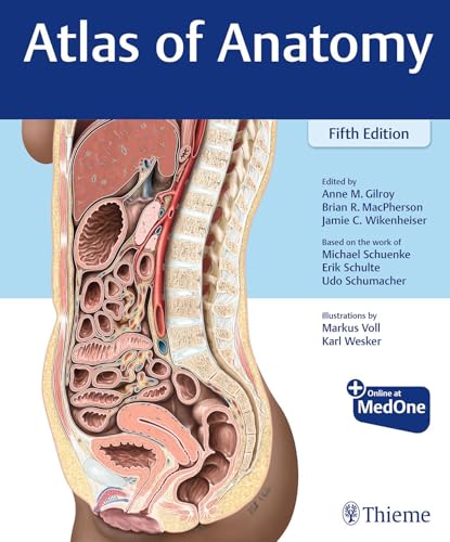 Atlas of Anatomy von Thieme Publishers New York