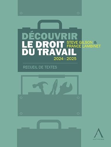 Découvrir le droit du travail 2024-2025 - recueil de textes von ANTHEMIS