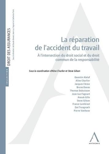 La réparation de l'accident du travail: À l'intersection du droit social et du droit commun de la responsabilité von ANTHEMIS