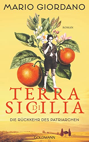 Terra di Sicilia. Die Rückkehr des Patriarchen: Roman (Die Carbonaro-Saga, Band 1)