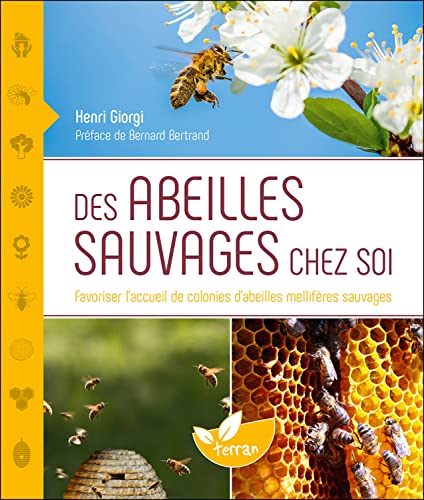 Des abeilles sauvages chez soi - Favoriser l'accueil de colonies d'abeilles mellifères sauvages Des abeilles sauvages chez soi - Favoriser l'accueil de colonies d'abeilles mellifères sauvages von DE TERRAN