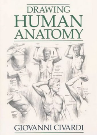 Drawing Human Anatomy von Studio Vista Publ