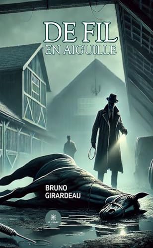 De fil en aiguille von LE LYS BLEU EDITIONS SAS