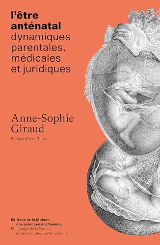 ETRE ANTENATAL. DYNAMIQUES PARENTALES, MEDICALES ET JURIDIQUES: Dynamiques parentales, médicales et juridiques von MSH PARIS