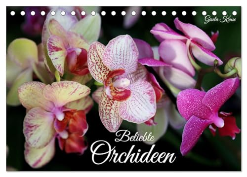 Beliebte Orchideen (Tischkalender 2025 DIN A5 quer), CALVENDO Monatskalender
