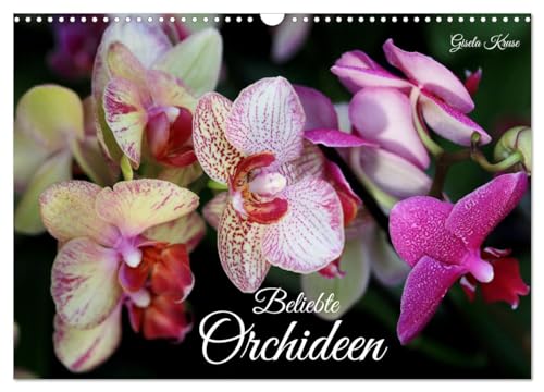 Beliebte Orchideen (Wandkalender 2025 DIN A3 quer), CALVENDO Monatskalender von CALVENDO