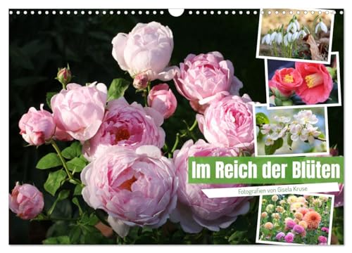 Im Reich der Blüten (Wandkalender 2025 DIN A3 quer), CALVENDO Monatskalender von CALVENDO