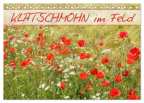 Klatschmohn im Feld (Tischkalender 2025 DIN A5 quer), CALVENDO Monatskalender von CALVENDO