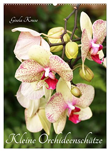 Kleine Orchideenschätze (Wandkalender 2025 DIN A2 hoch), CALVENDO Monatskalender von CALVENDO