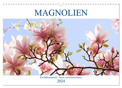 Magnolien Ein Blütenrausch (Wandkalender 2024 DIN A3 quer), CALVENDO Monatskalender