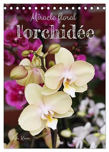 Miracle floral l'orchidée (Tischkalender 2025 DIN A5 hoch), CALVENDO Monatskalender von CALVENDO