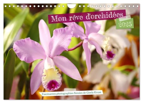 Mon rêve d'orchidées (Wandkalender 2025 DIN A4 quer), CALVENDO Monatskalender von CALVENDO
