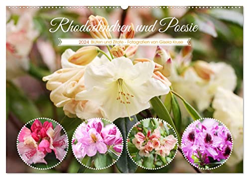 Rhododendren und Poesie (Wandkalender 2024 DIN A2 quer), CALVENDO Monatskalender